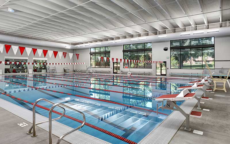 aquatic paradise pools & spas in colorado springs, colorado